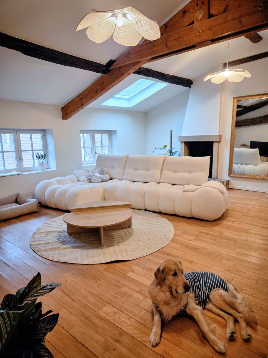 Rénovation complète d'un appartement et d'un séjour à Lyon